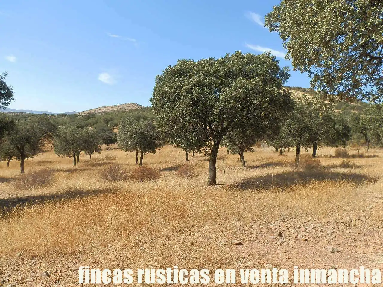 Terreny rústic en venda a Fuente el Fresno, imagen 6