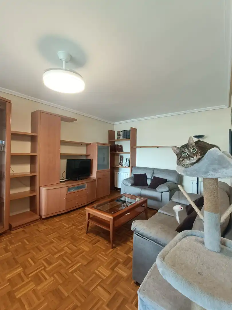 Appartement à vendre à Labastida / Bastida, imagen 5
