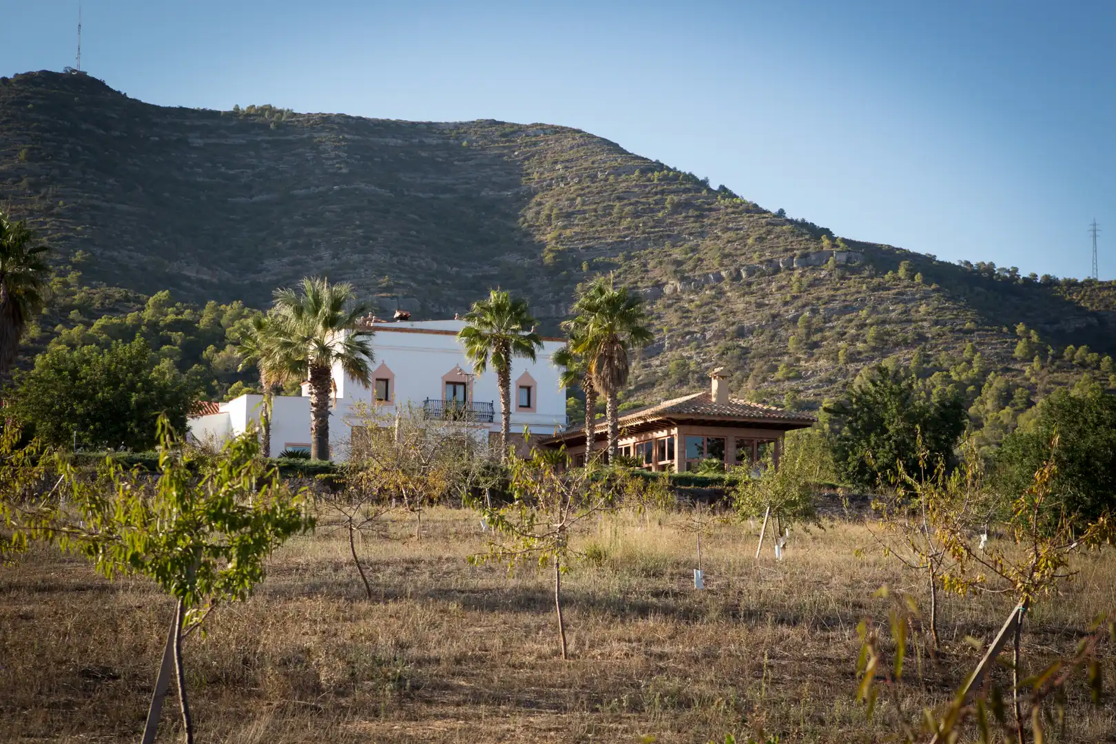 Villa avec terrasse à vendre à N/A, imagen 31