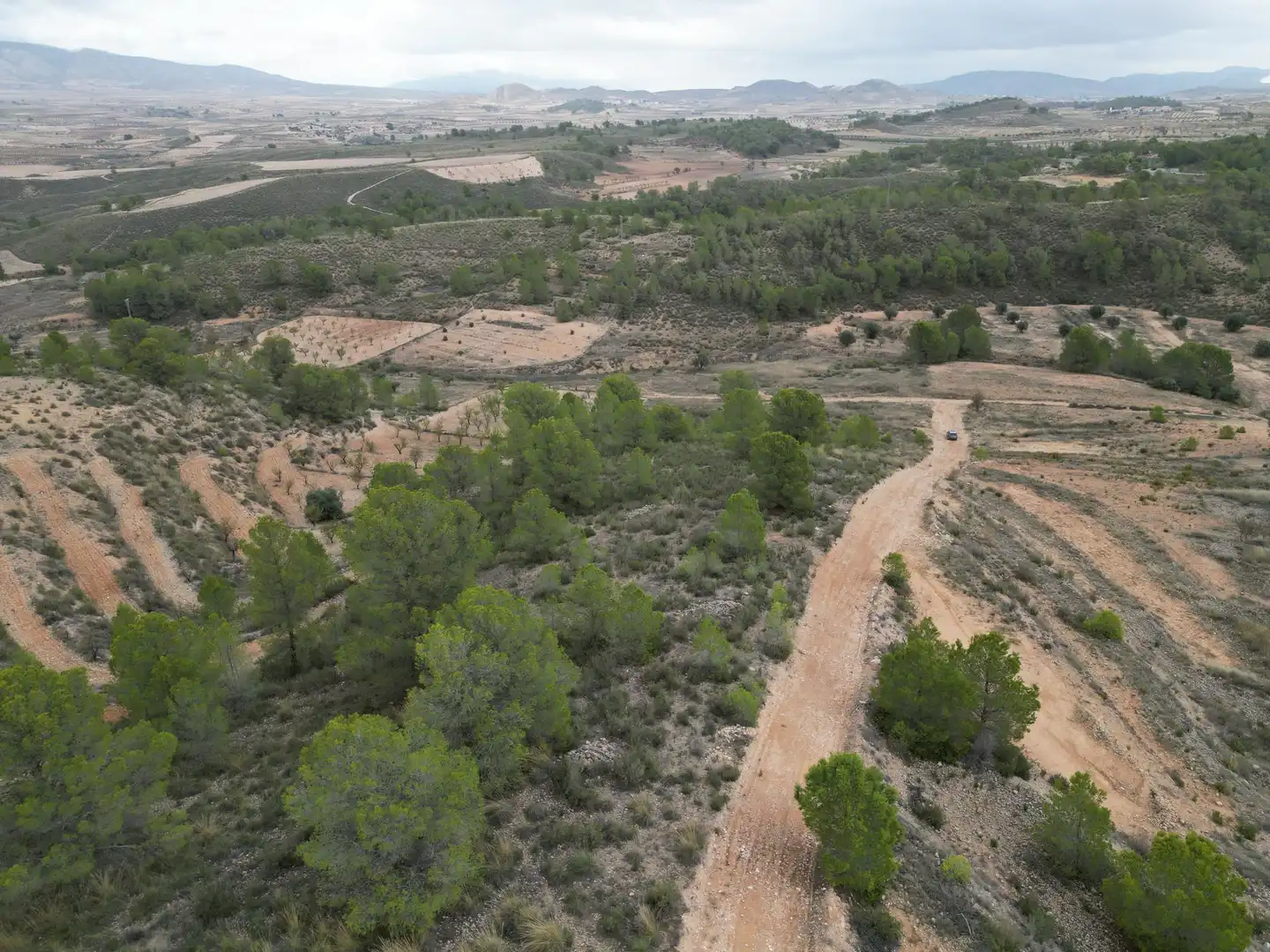 Terreny residencial en venda a Jumilla, imagen 6