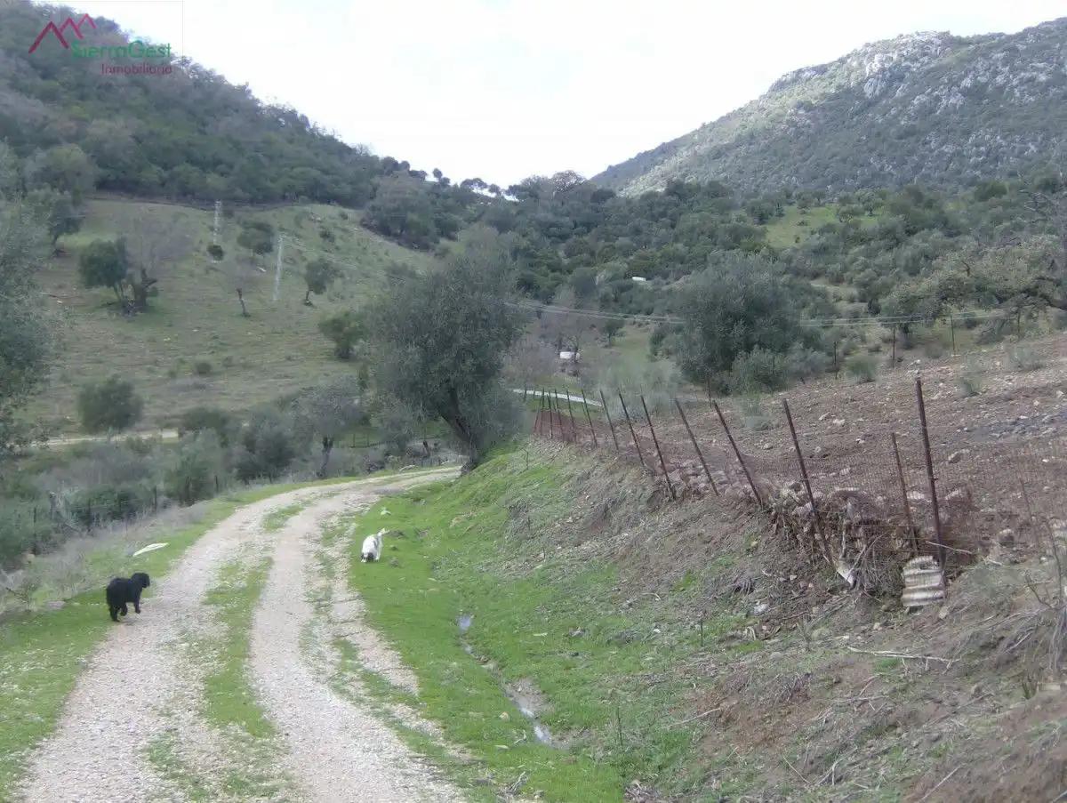 Terreni e lotti in vendita a Benaocaz, imagen 3