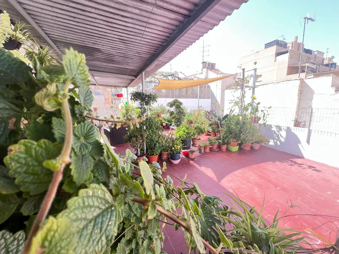 Apartamento en venta en Casco Antiguo