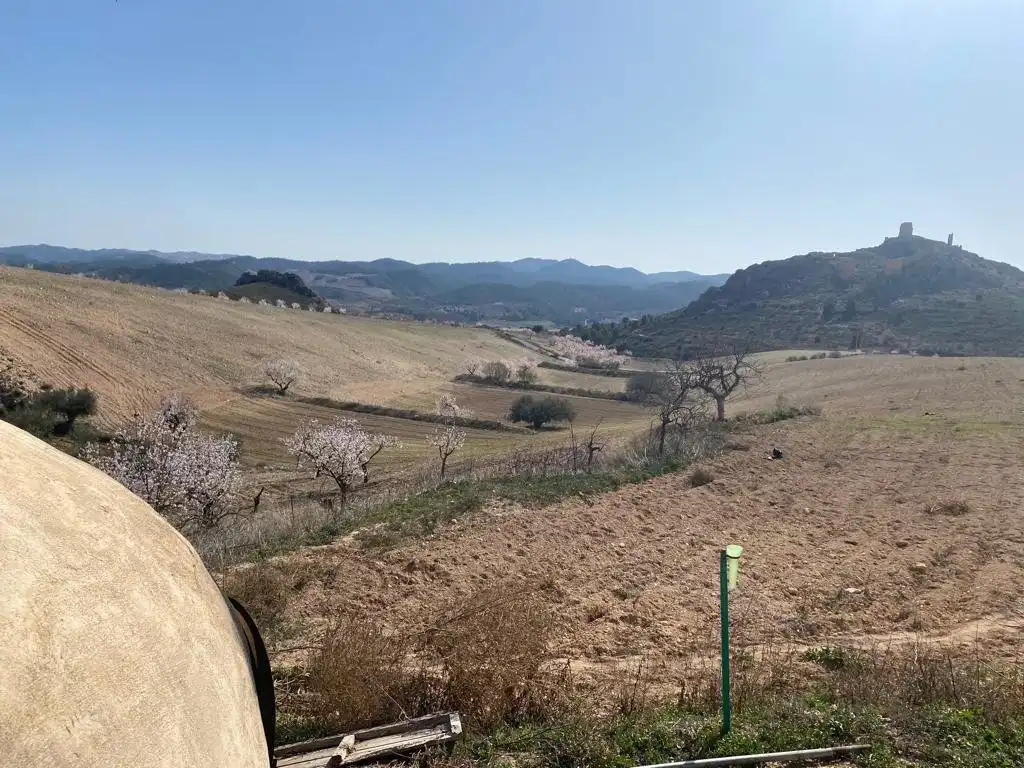 Vista exterior de Finca rústica en venta en Lorca con Terraza