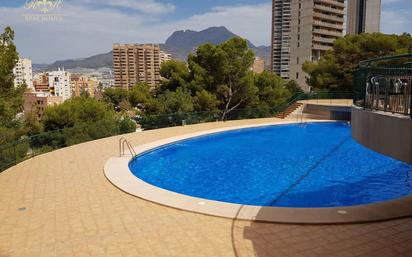 Swimming pool of Flat for sale in Benidorm  with Terrace and Swimming Pool