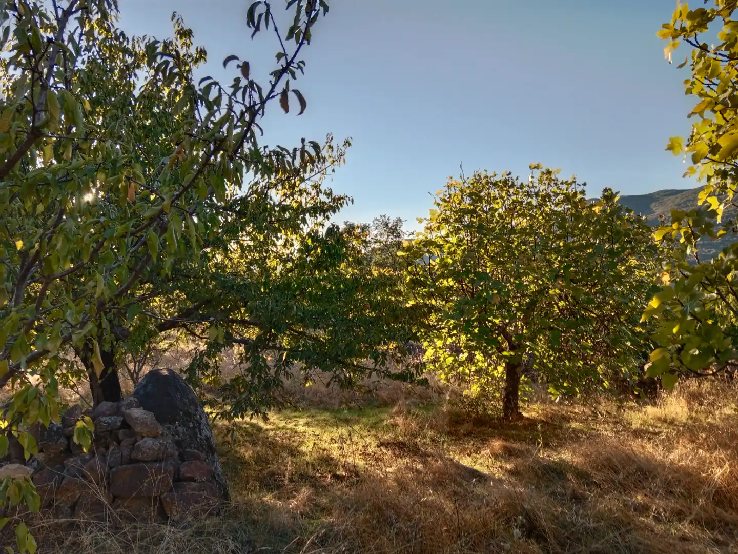 Terreno en venta en Barrado