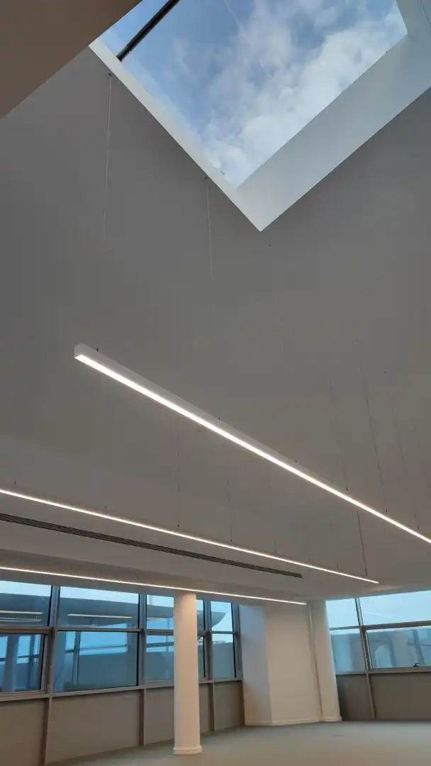 Büro mit Aufzug zur Miete in Gorg - Progrés, imagen 8