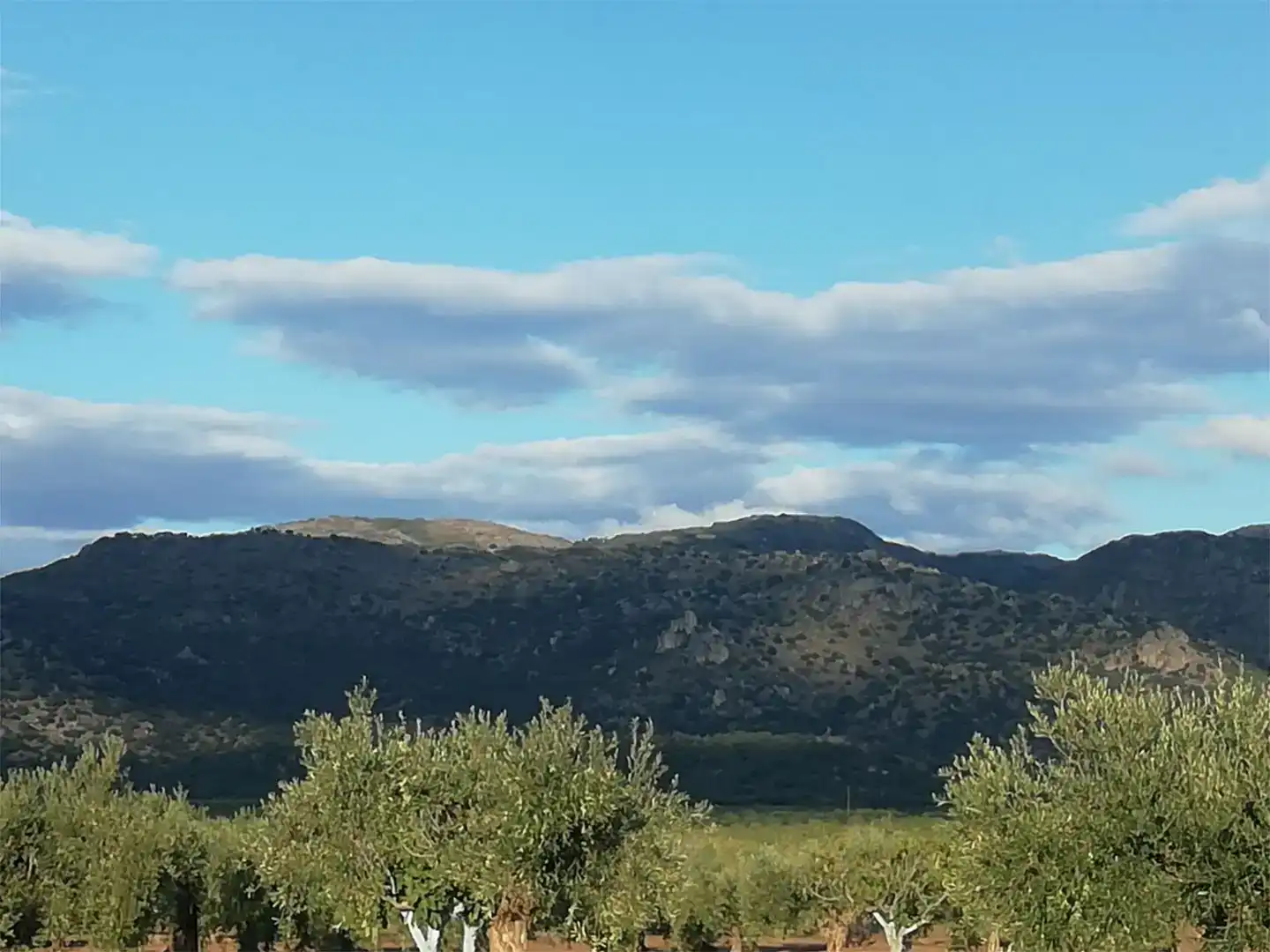 Terreno en venta en Arroyomolinos (Cáceres)