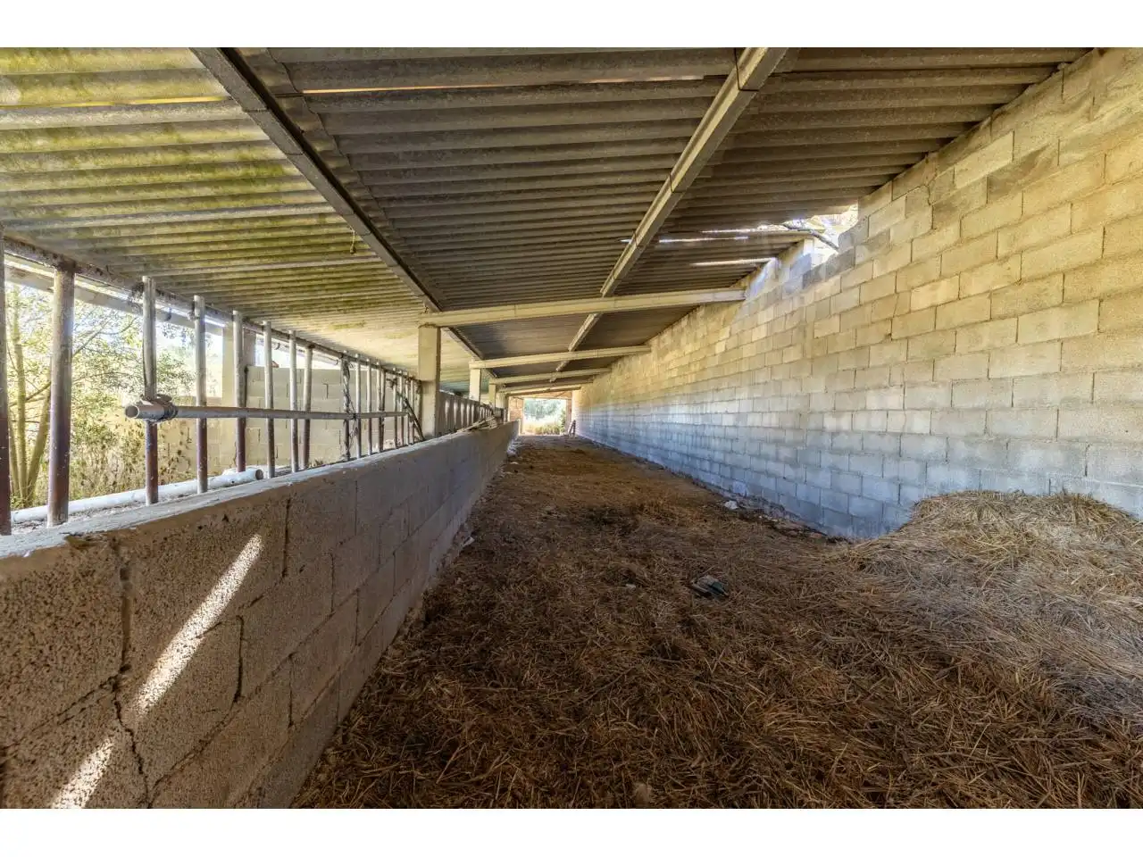 Terreno rustico in vendita a Llucmajor pueblo, imagen 75