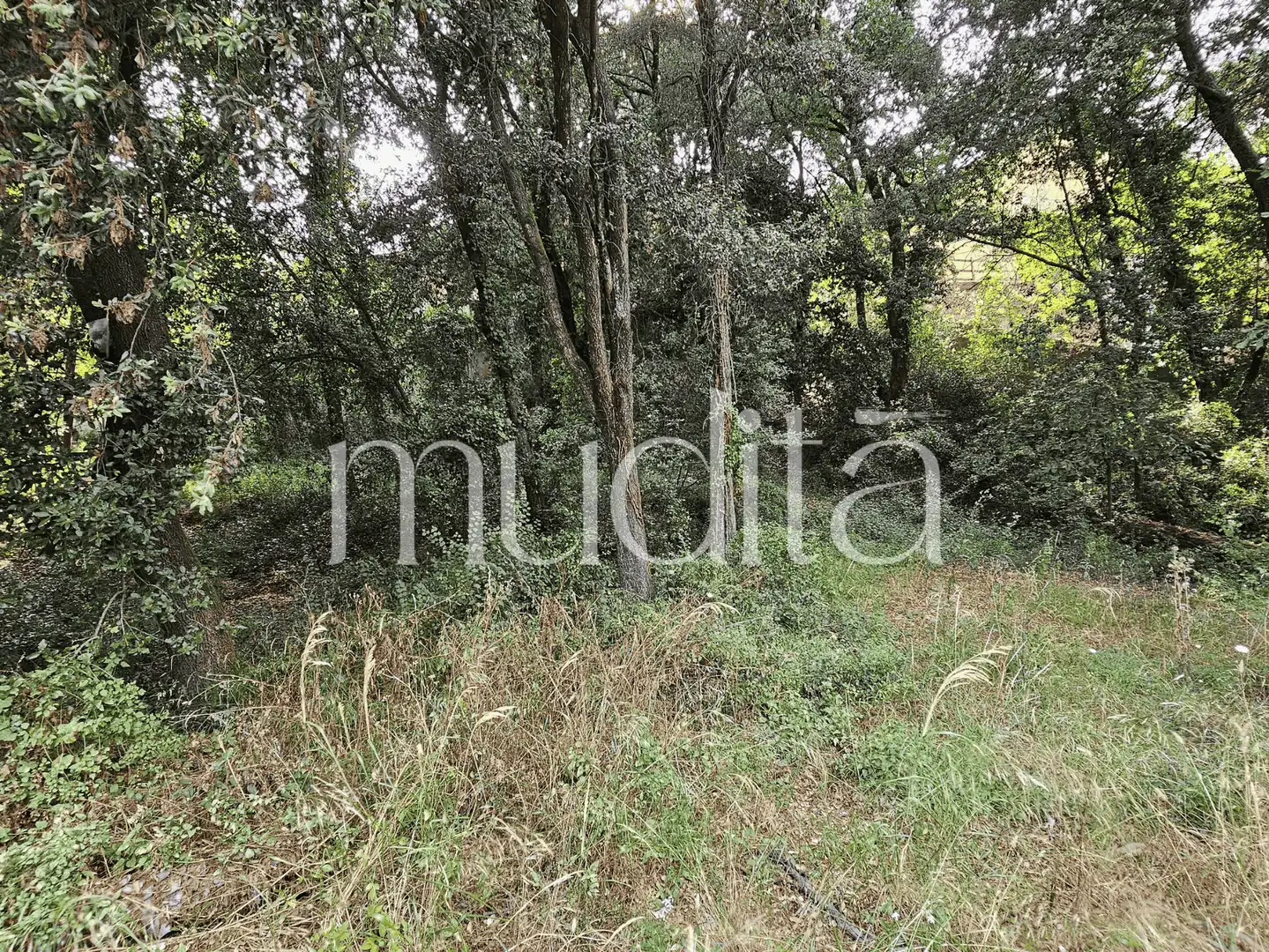 Residential land for sale in del Xaloc, imagen 13