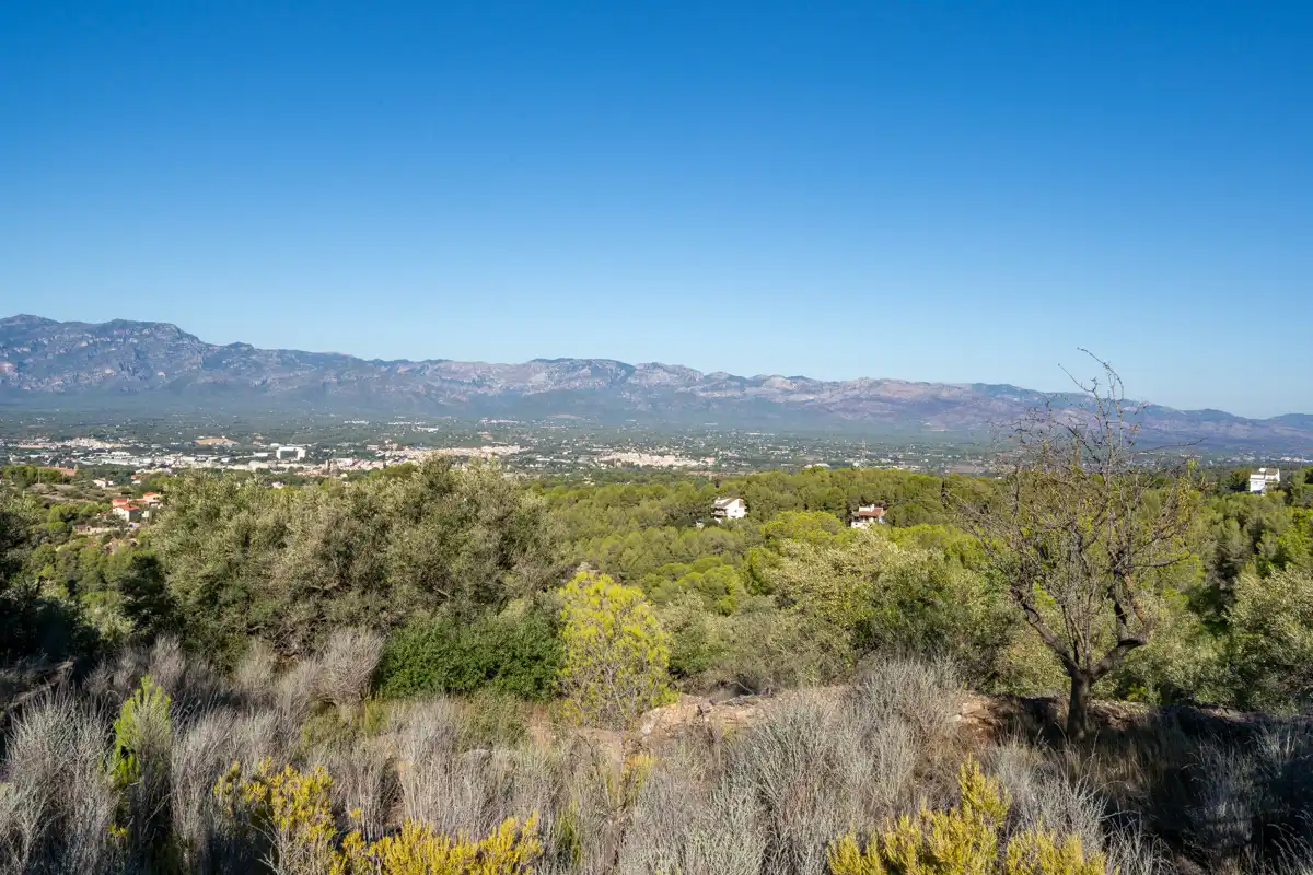 Terreny rústic en venda a Camí de la Potra de Pino 28, imagen 26