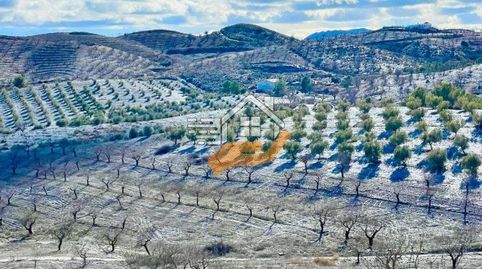 Finca Rúst. en venta en VélezRubio., immagine 2