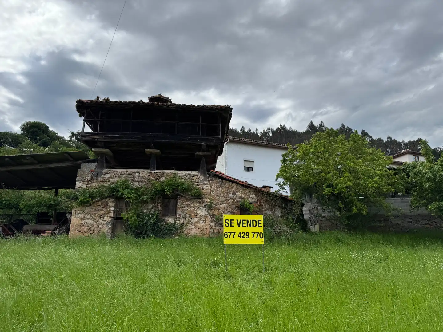 Exterior view of Country homes for sale in Las Regueras    with Furnished and Oven