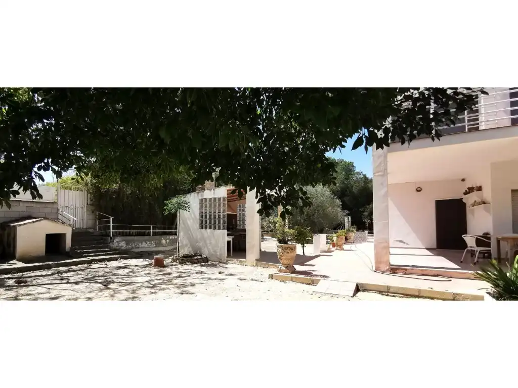 Jardí de Casa o xalet en venda en Elche / Elx amb Jardí privat, Terrassa i Piscina