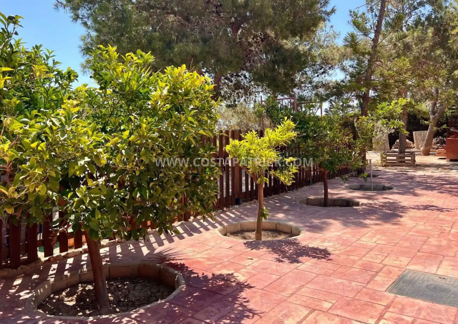 Jardín de Casa o chalet en venta en Torre-Pacheco con Aire acondicionado, Calefacción y Jardín privado