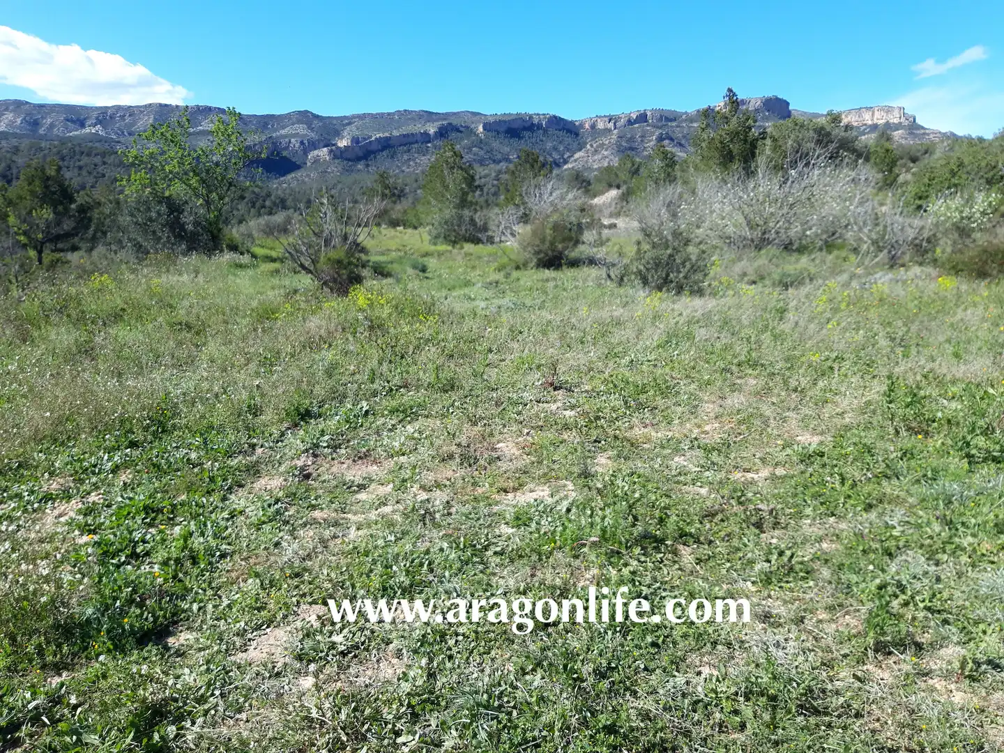 Rural land for sale in C-43, imagen 13