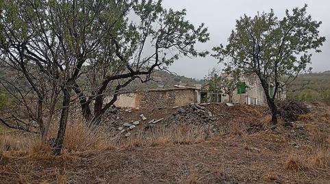 VENTA EN SIERRO  ALMERÍA  DE TERRENO PARA CAZA., immagine 2