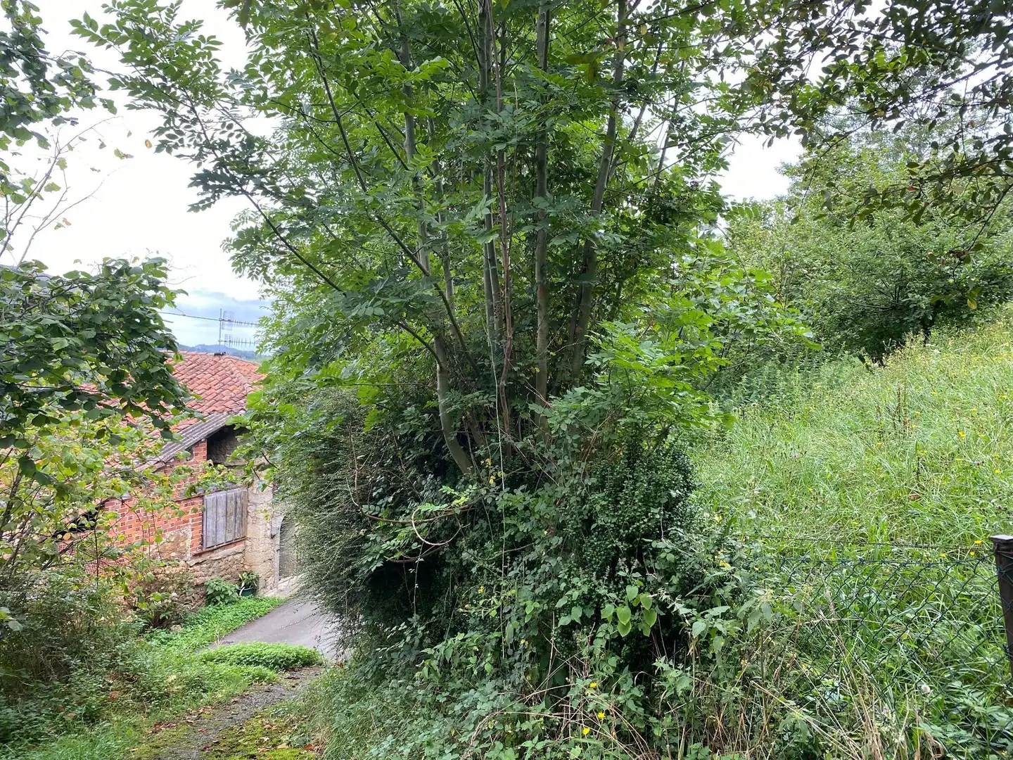Houses for sale in Gamonedo, Cangas de Onís