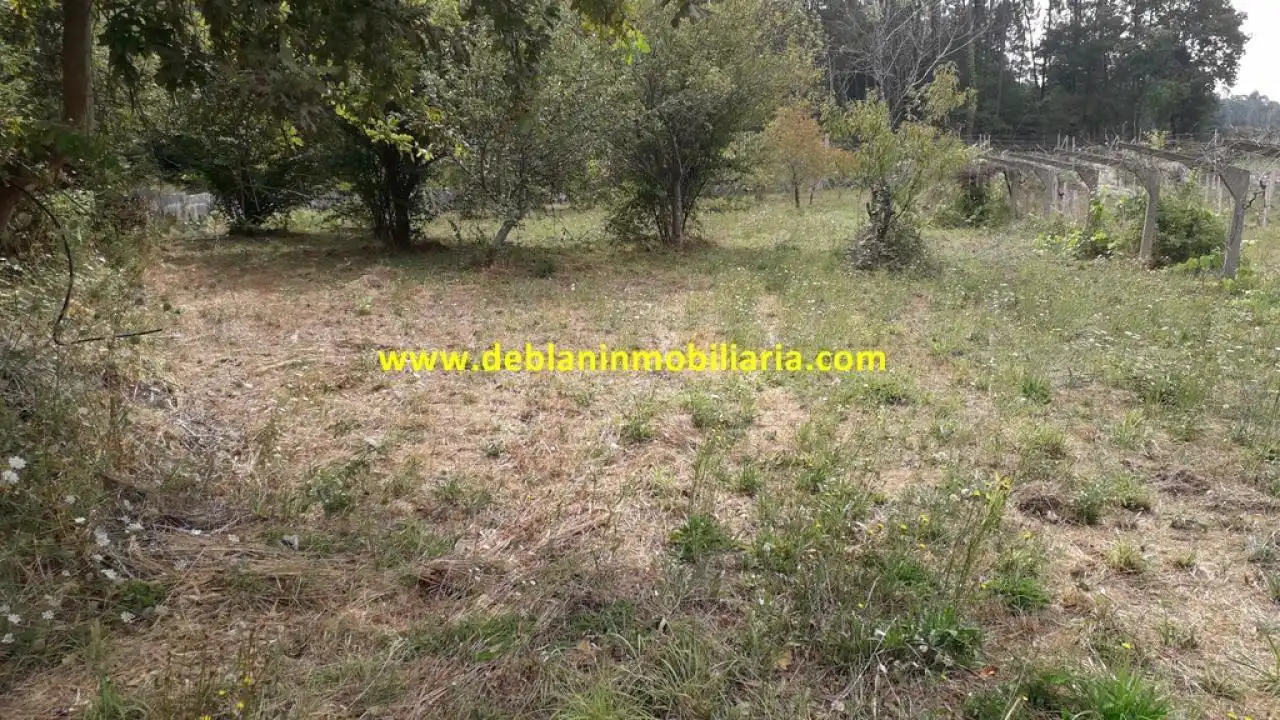 Terreno rustico in vendita a Tomiño, imagen 8