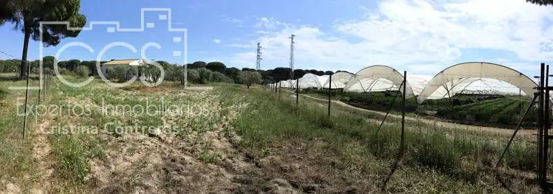 Finca rústica en venda en Almonte amb Terrassa i Moblat