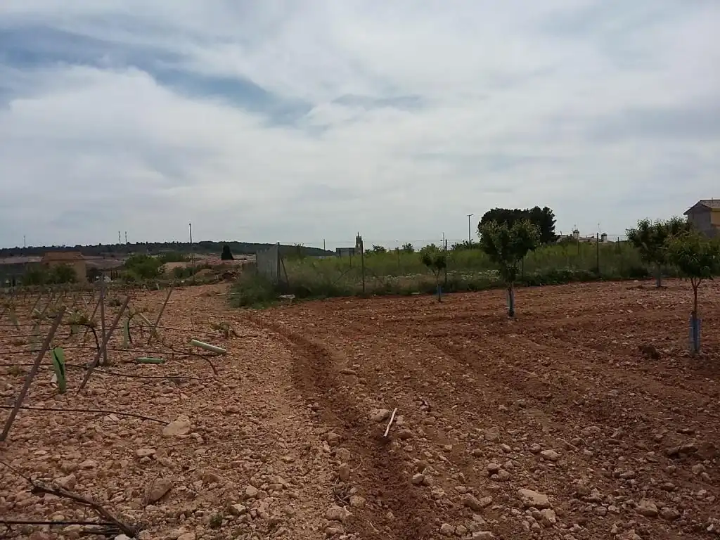 Terreny rústic en venda a CERCA (LA), imagen 11