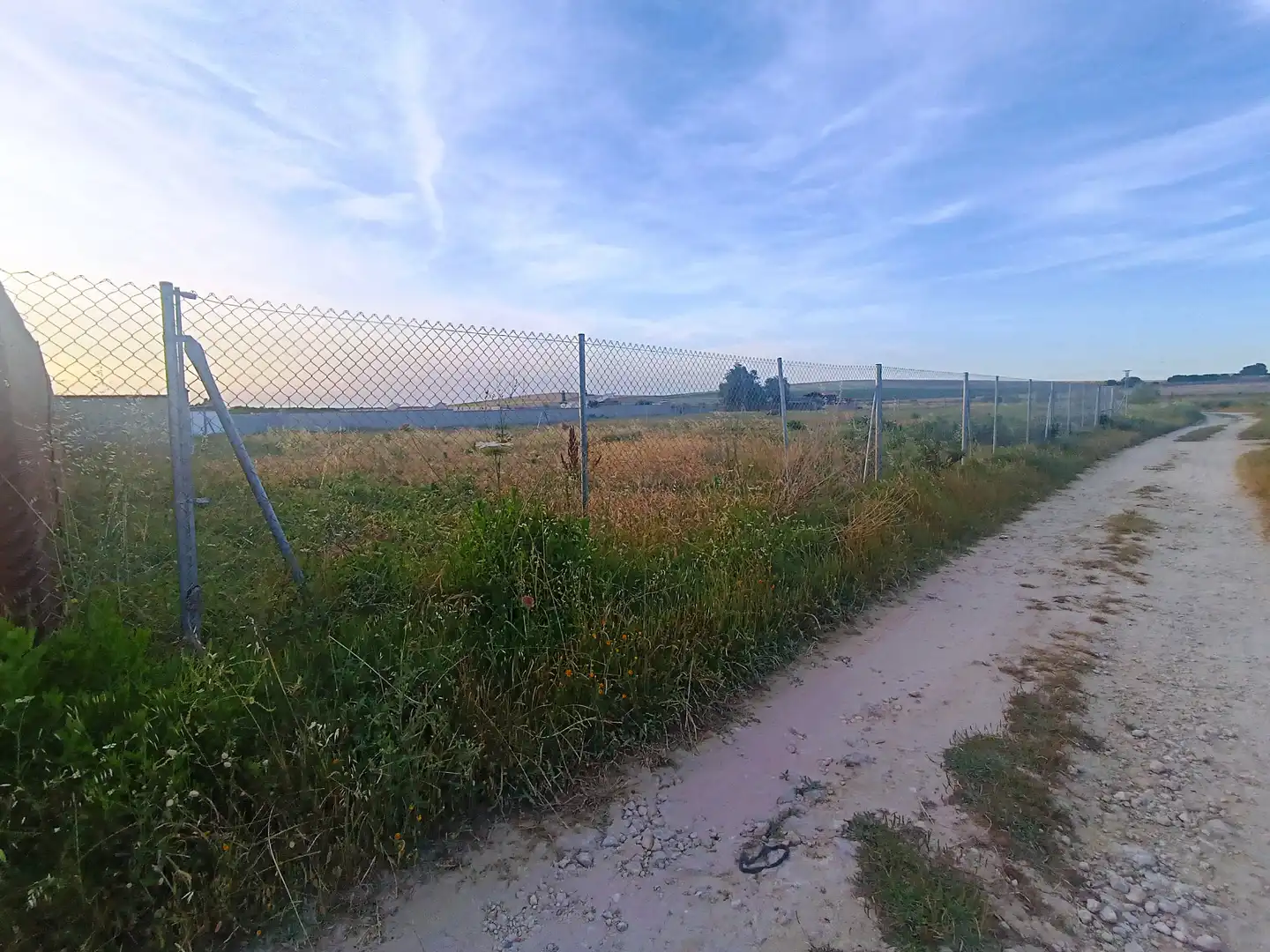 Terreny rústic en venda a Ctra Sanlúcar - Cuatro Pinos, imagen 5