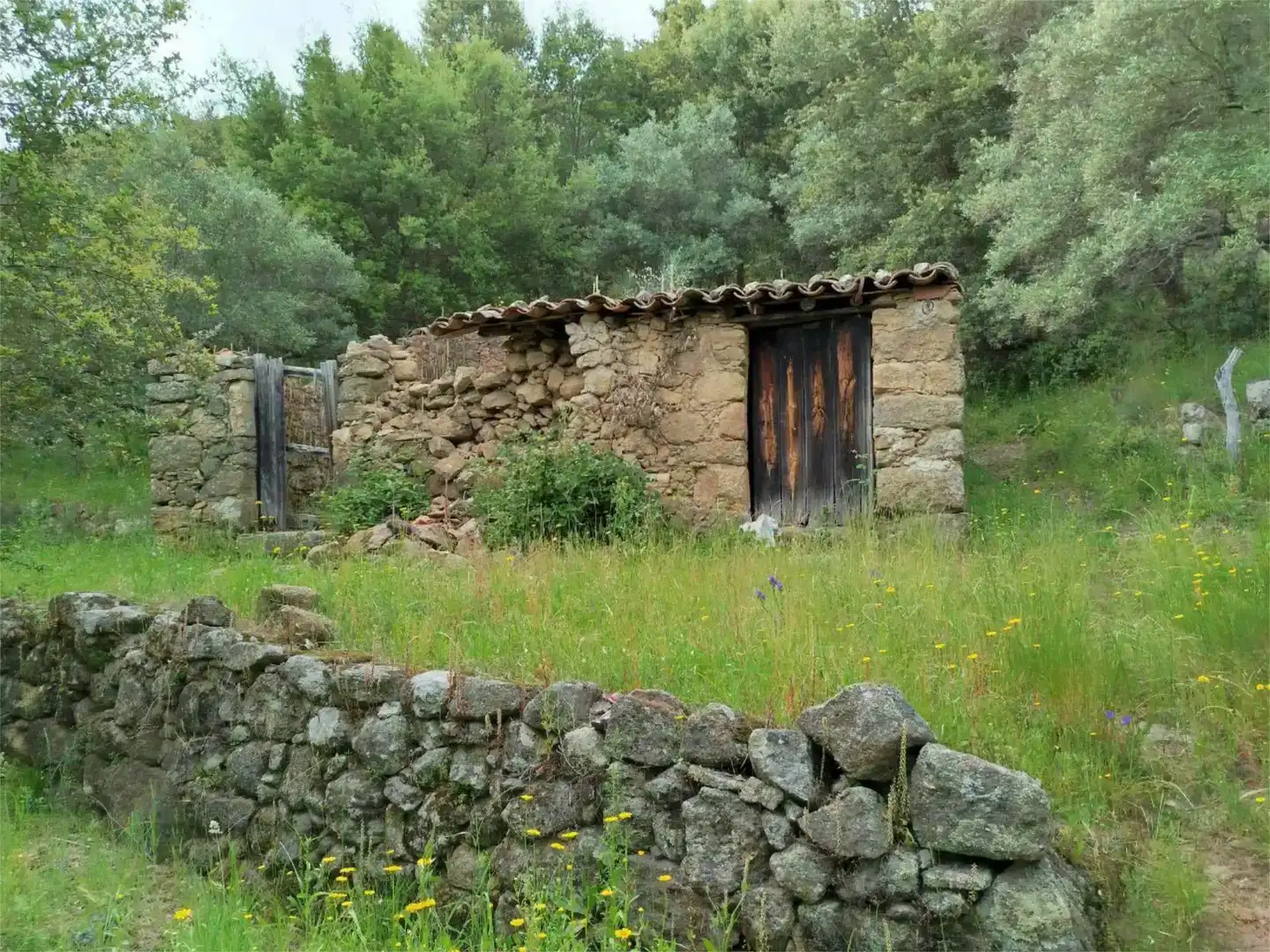 Exterior view of Land for sale in Torre de Don Miguel