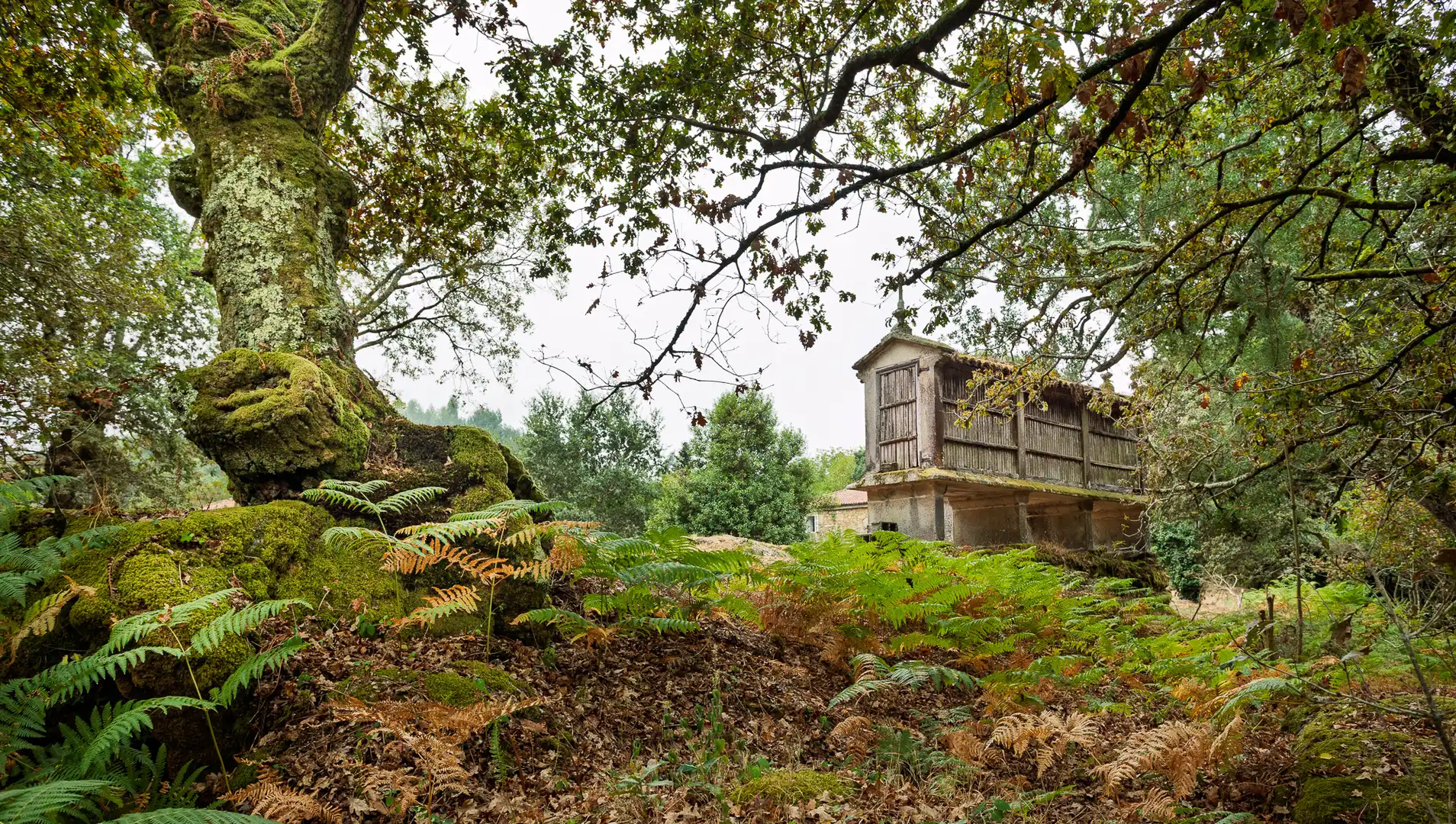 Casa rústica en venda a Silleda, imagen 2