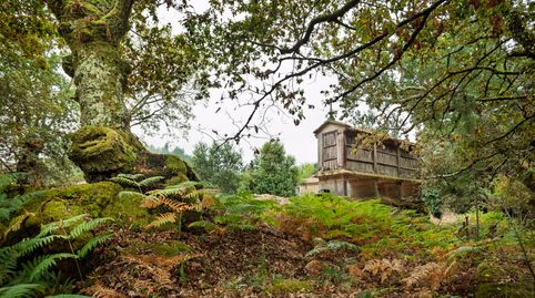 Foto 2 de Finca rústica en venta en Silleda, Pontevedra