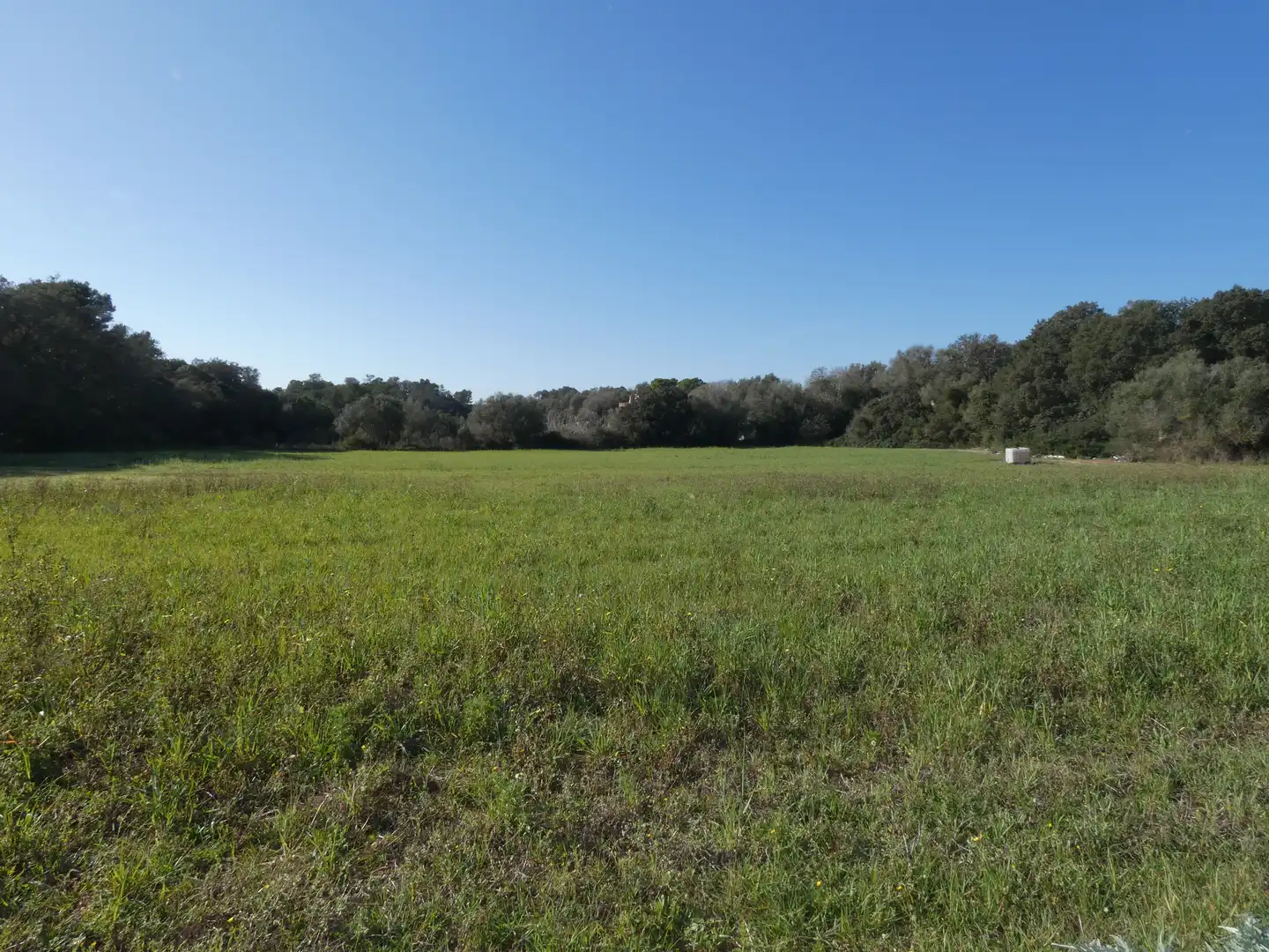 Residential land for sale in Sineu, imagen 2