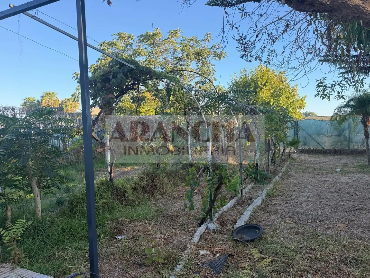 Terreno rustico in vendita a Las Tres Piedras - Costa Ballena, imagen 4