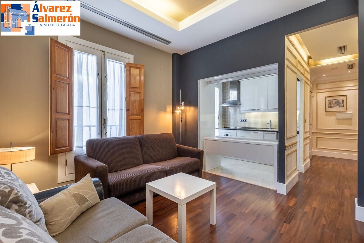 Sala d'estar de Apartament en venda en  Granada Capital amb Calefacció