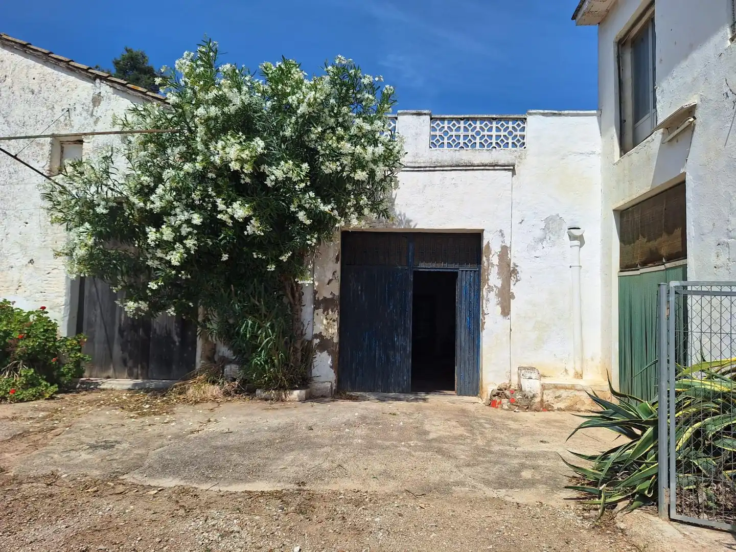 Vista exterior de Casa o chalet en venta en Algemesí