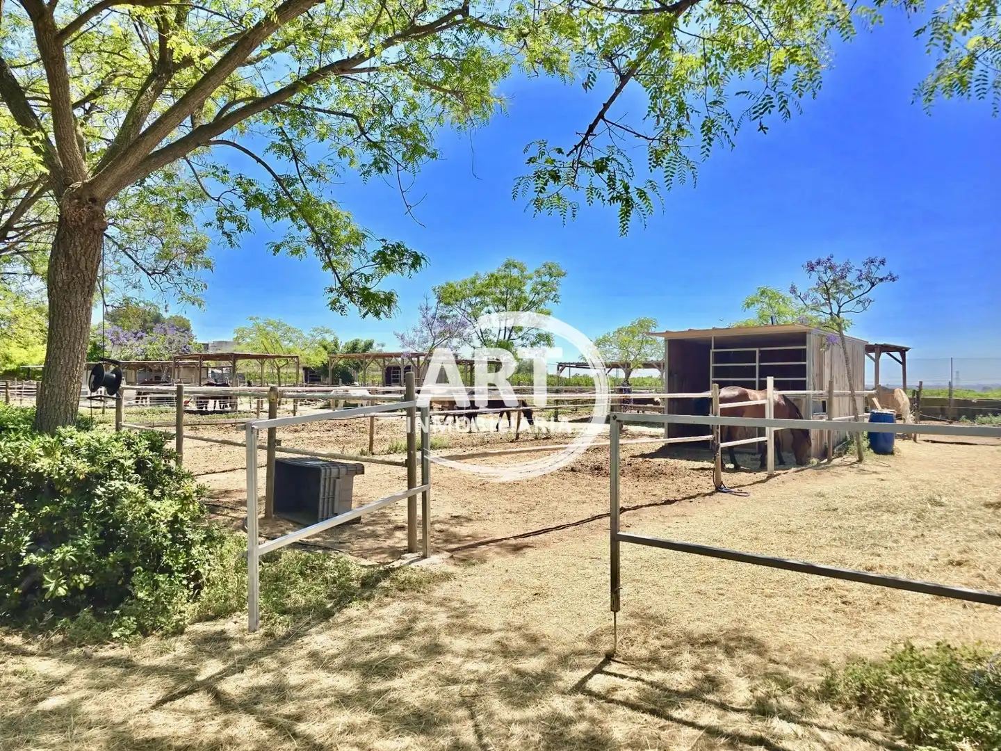 Vista exterior de Casa o chalet en venta en Bétera con Aire acondicionado, Calefacción y Jardín privado