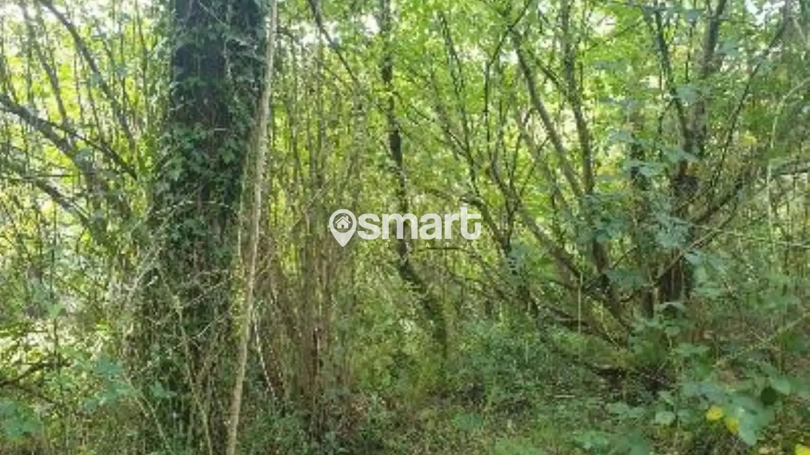 Terreno rustico in vendita a Villalegre - La Luz, imagen 4