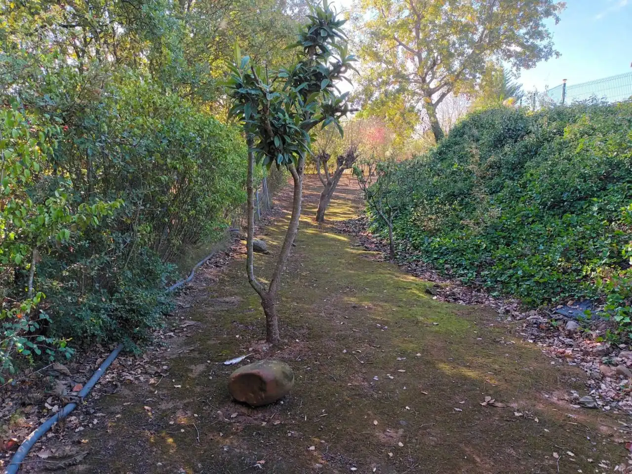 Country homes for sale in Entrena