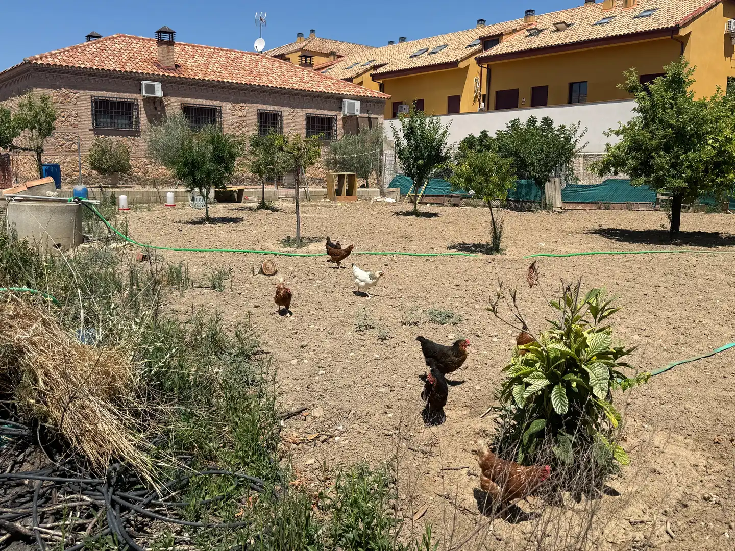 Jardín de Casa o chalet en venta en Magán con Aire acondicionado, Calefacción y Jardín privado