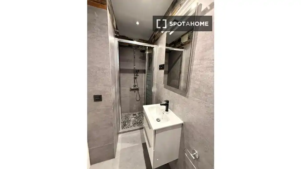 Bathroom of Apartments for share in Madrid  with Air Conditioner, Heating and Terrace