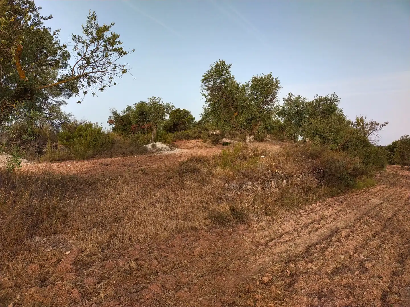 Terreno rústico en venta en Cervià de Les Garrigues, imagen 12