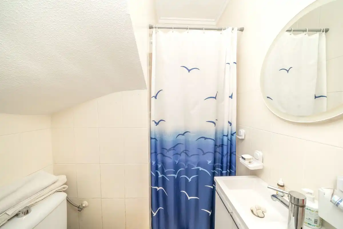 Casa pareada con terraza en venta en C. Monte de Sta. Pola, imagen 9