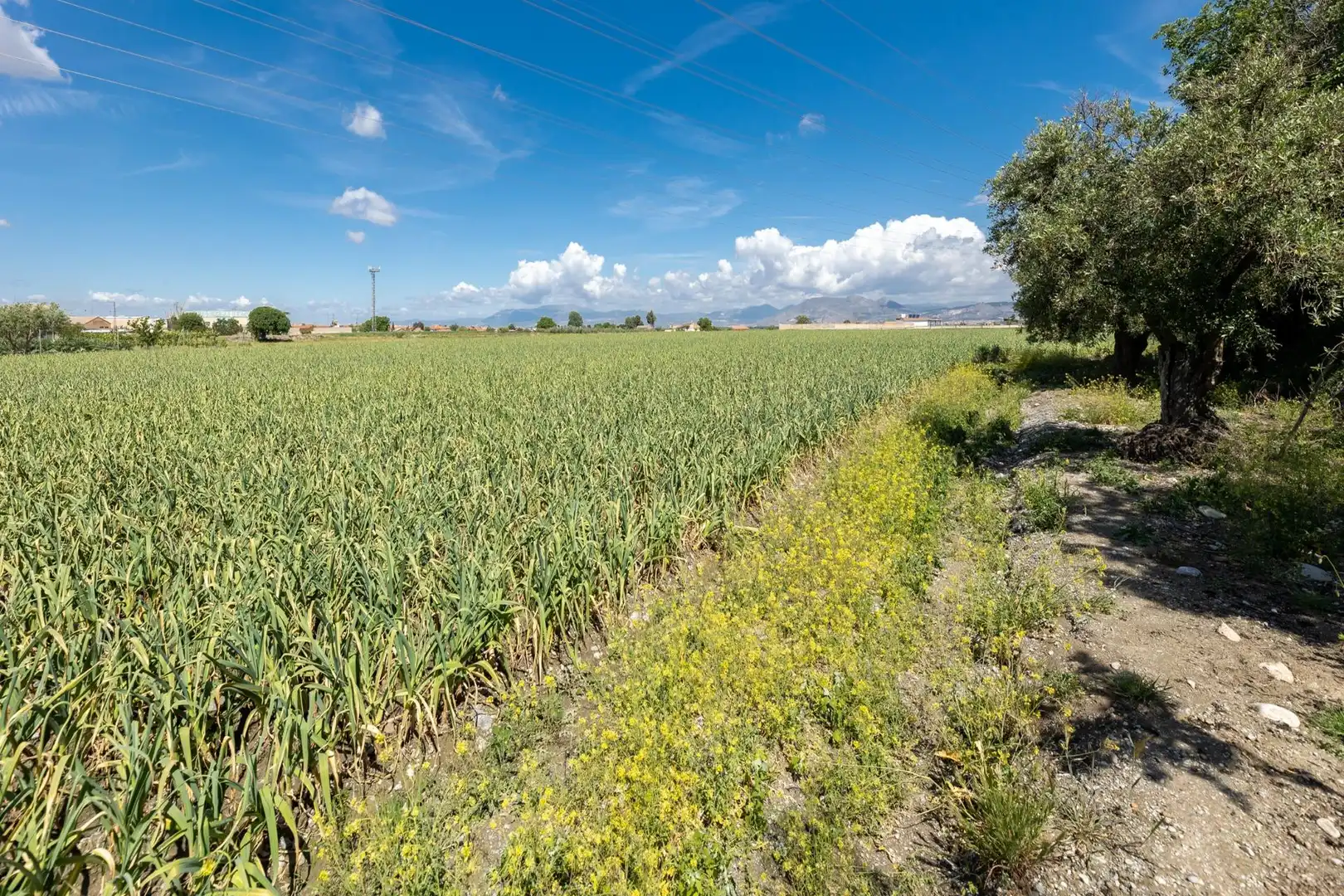 Terreni e lotti in vendita a Ramal del Río, imagen 12