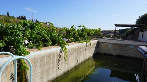 Foto 4 de Finca rústica en venda a Los Tablones, Los Tablones - La Garnatilla, Motril