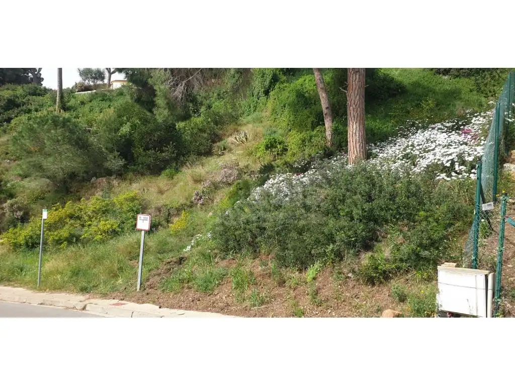 Terreny residencial en venda a Sa Riera - Sa Fontansa, imagen 9