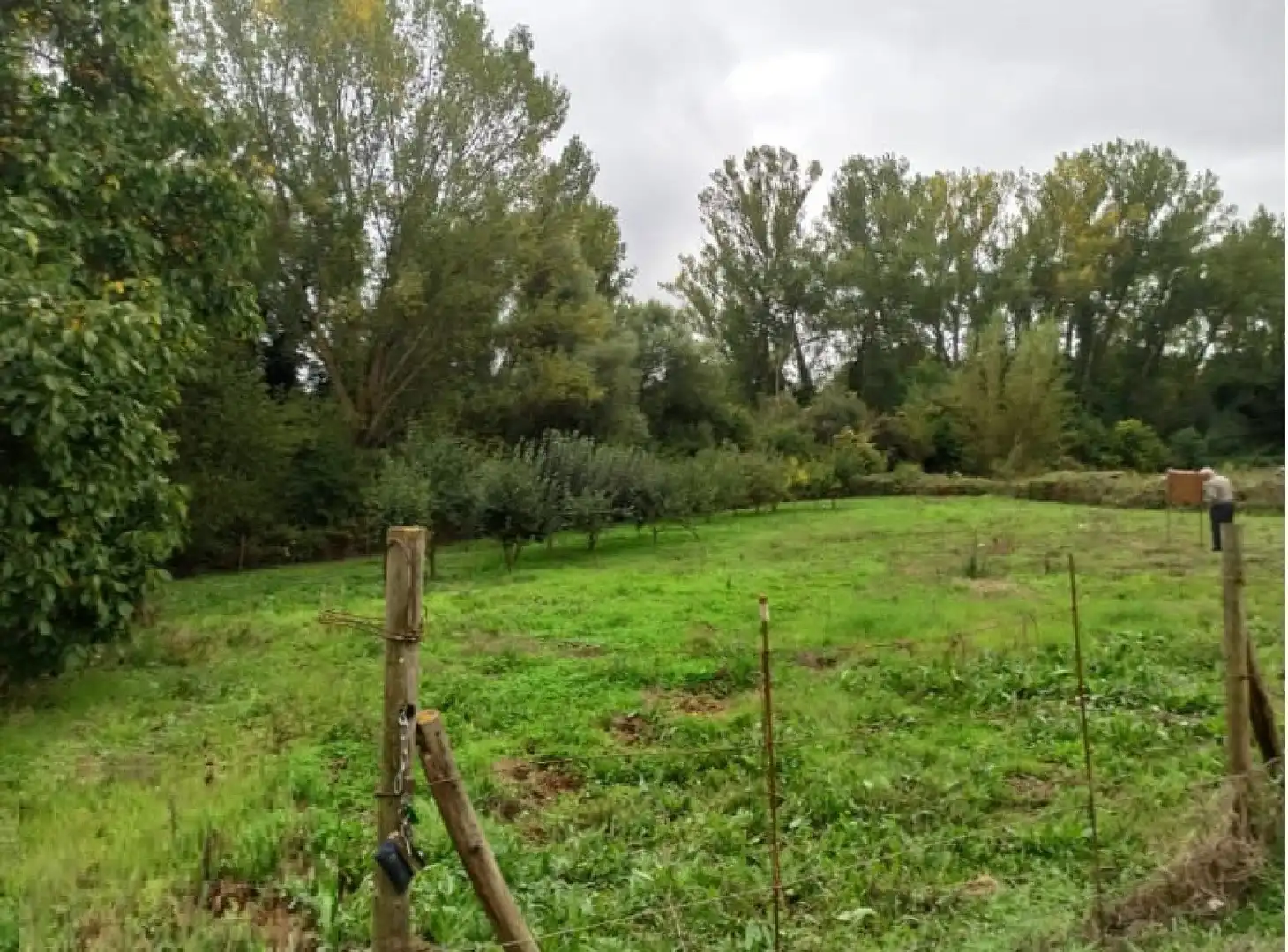 Terreny rústic en venda a Nájera