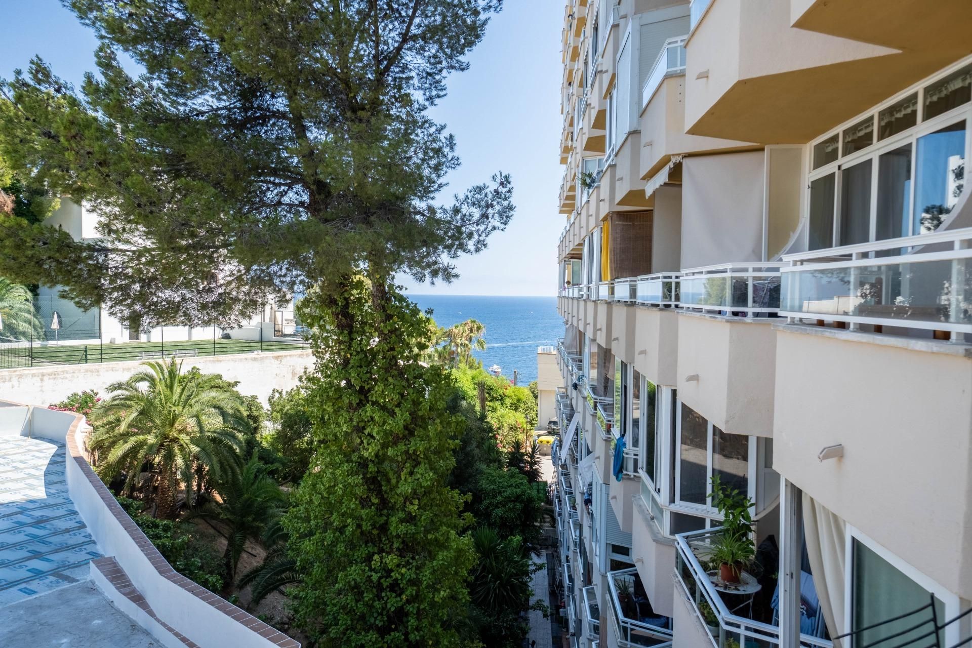 Exterior view of Study for sale in Calvià  with Terrace and Swimming Pool