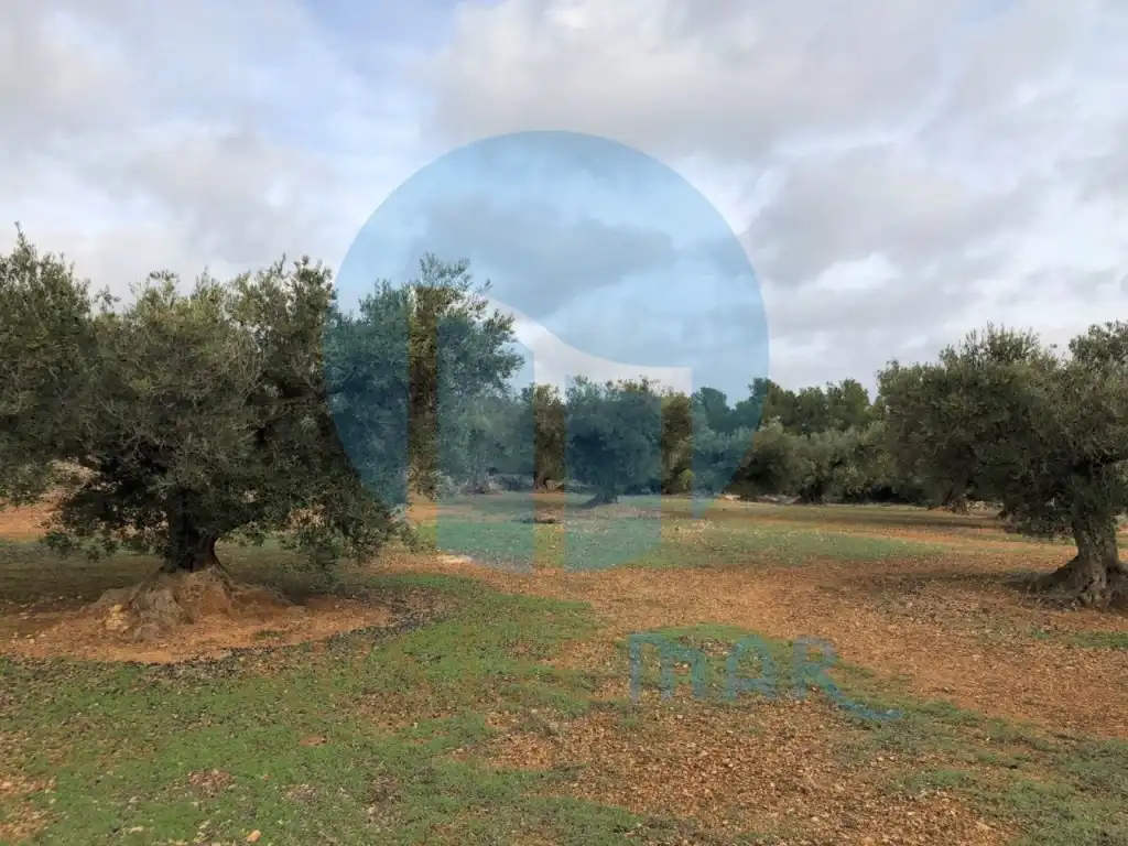 Finca rústica en venda en L'Ampolla