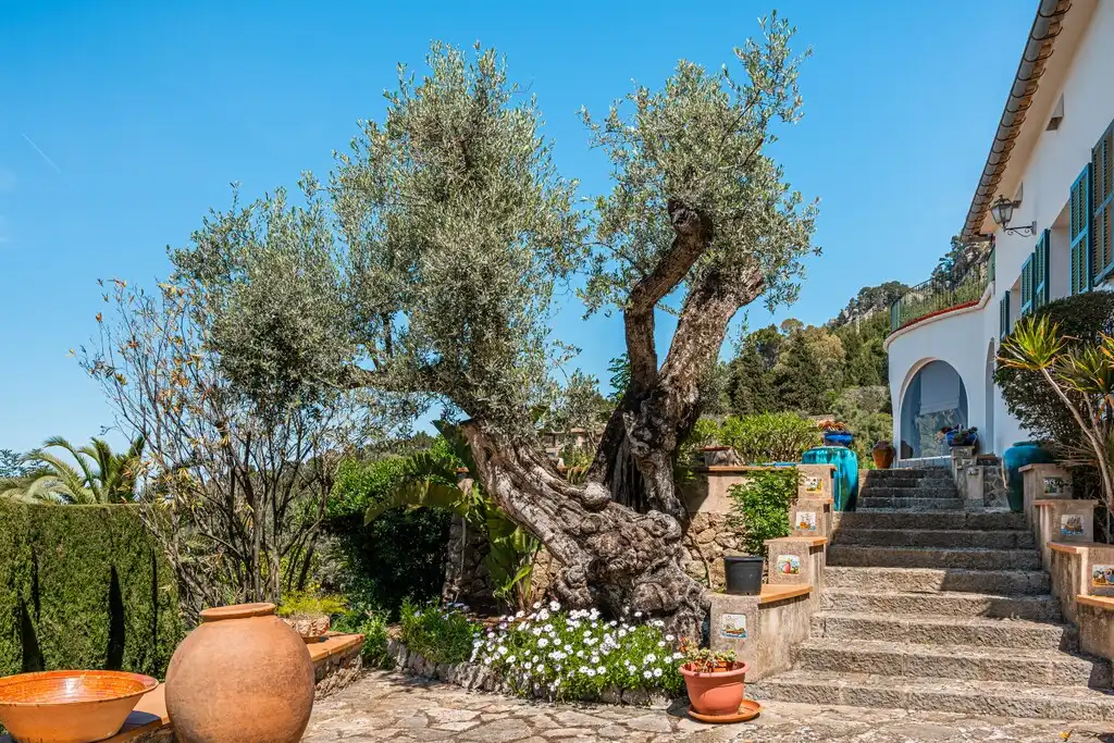 Casa rústica con piscina en venta en Deià, imagen 18