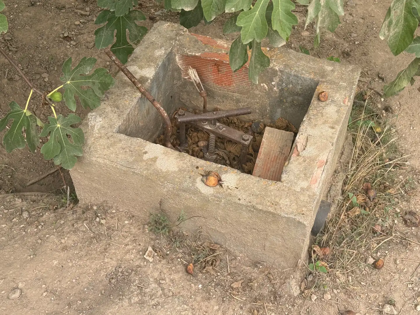 Terreny rústic en venda a Carretera del Catllar 22, imagen 9