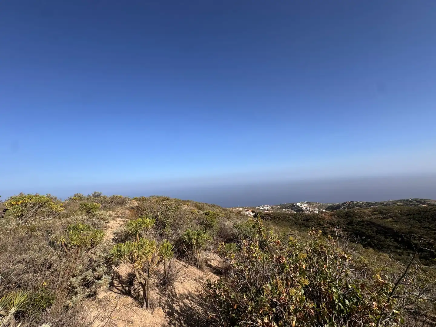Rural land for sale in El Escobonal - Pájara, imagen 5