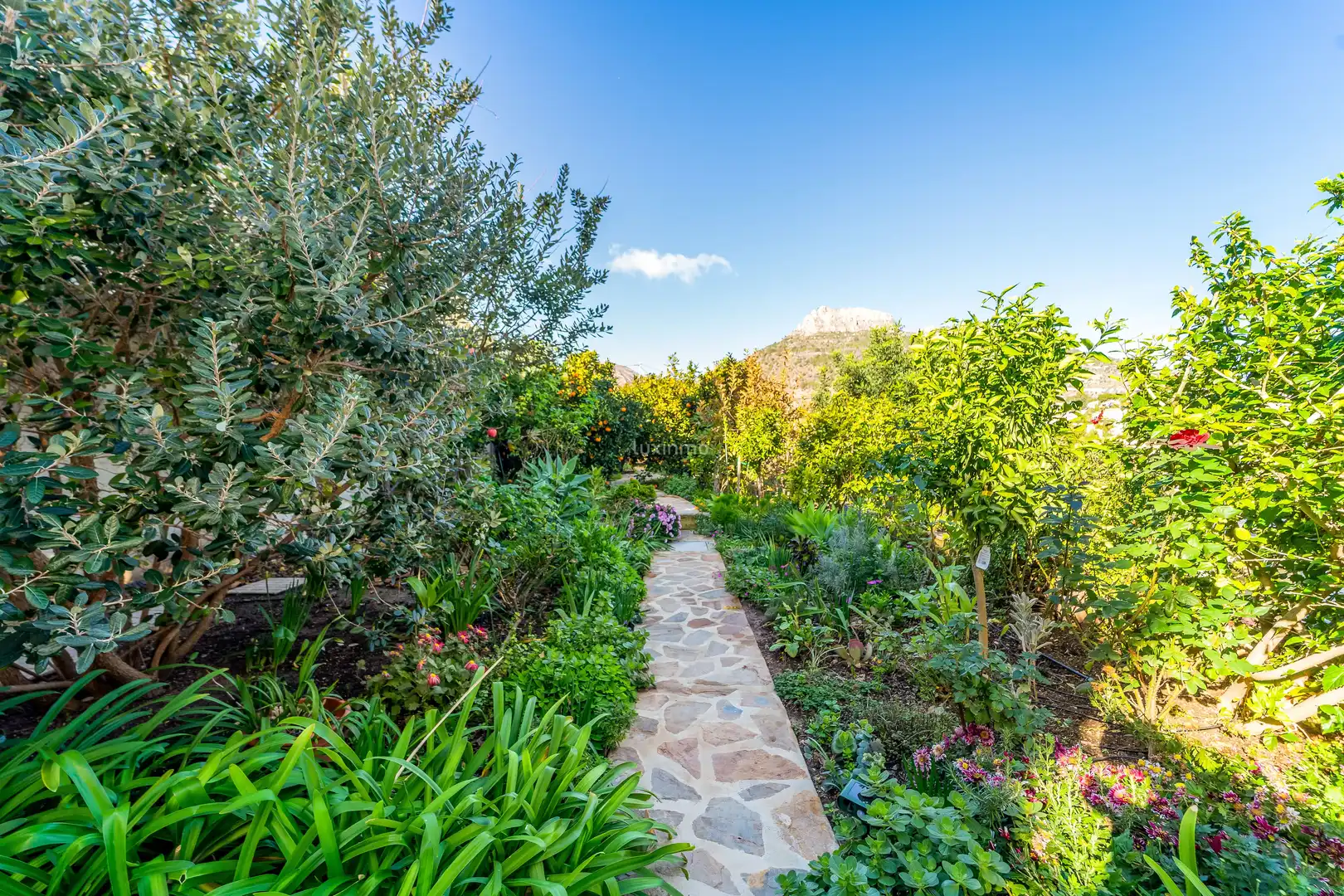 Jardín de Casa o chalet en venta en Calpe / Calp con Aire acondicionado, Terraza y Trastero