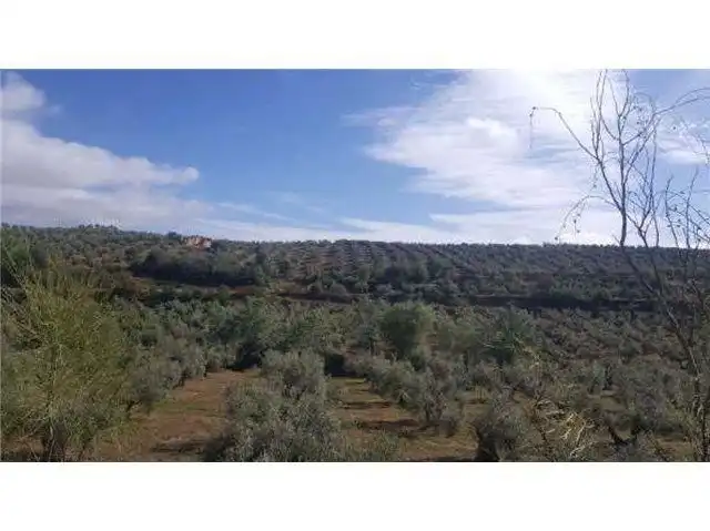 Terreni e lotti in vendita a Huelma, imagen 2